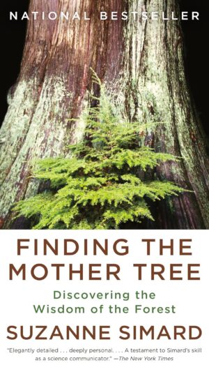 Finding the Mother Tree: Discovering the Wisdom of the Forest